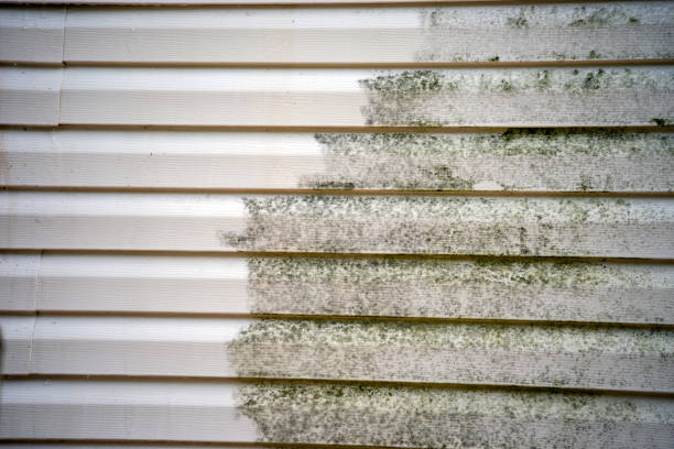 Best Engineered Wood Siding  in Mill Creek East, WA