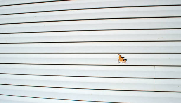 Best Fascia and Soffit Installation  in Mill Creek East, WA
