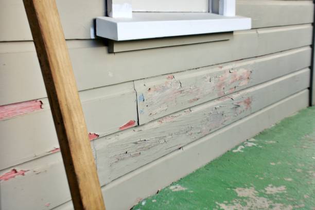 Affordable siding repair and maintenance services in Mill Creek East, WA